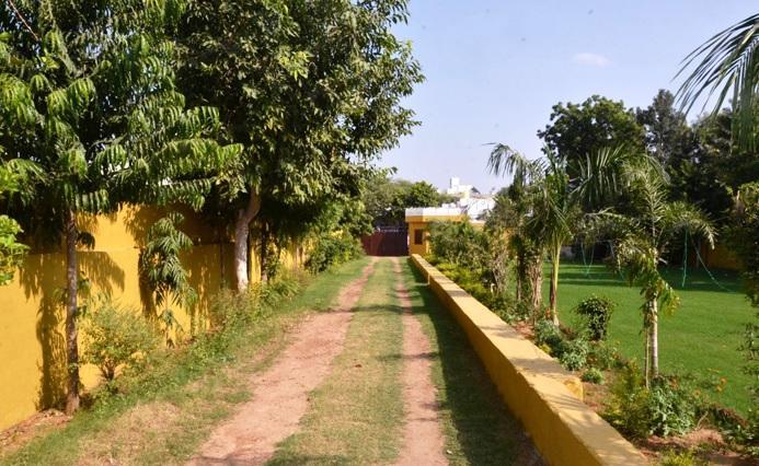 Hotel Tiger Regency Resort Sawai Madhopur Exterior photo
